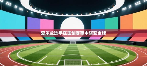 爱尔兰选手在击剑赛事中斩获金牌