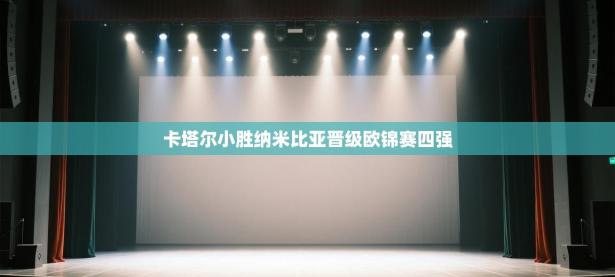 卡塔尔小胜纳米比亚晋级欧锦赛四强