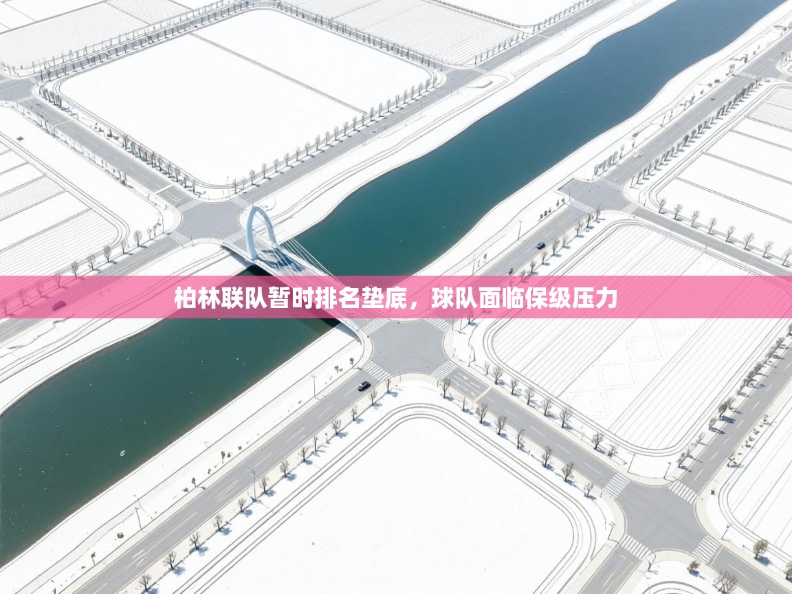 柏林联队暂时排名垫底，球队面临保级压力  第2张