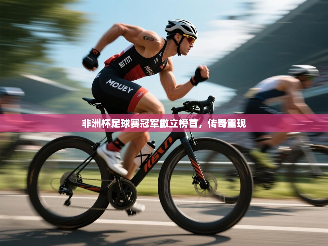 非洲杯足球赛冠军傲立榜首，传奇重现  第1张