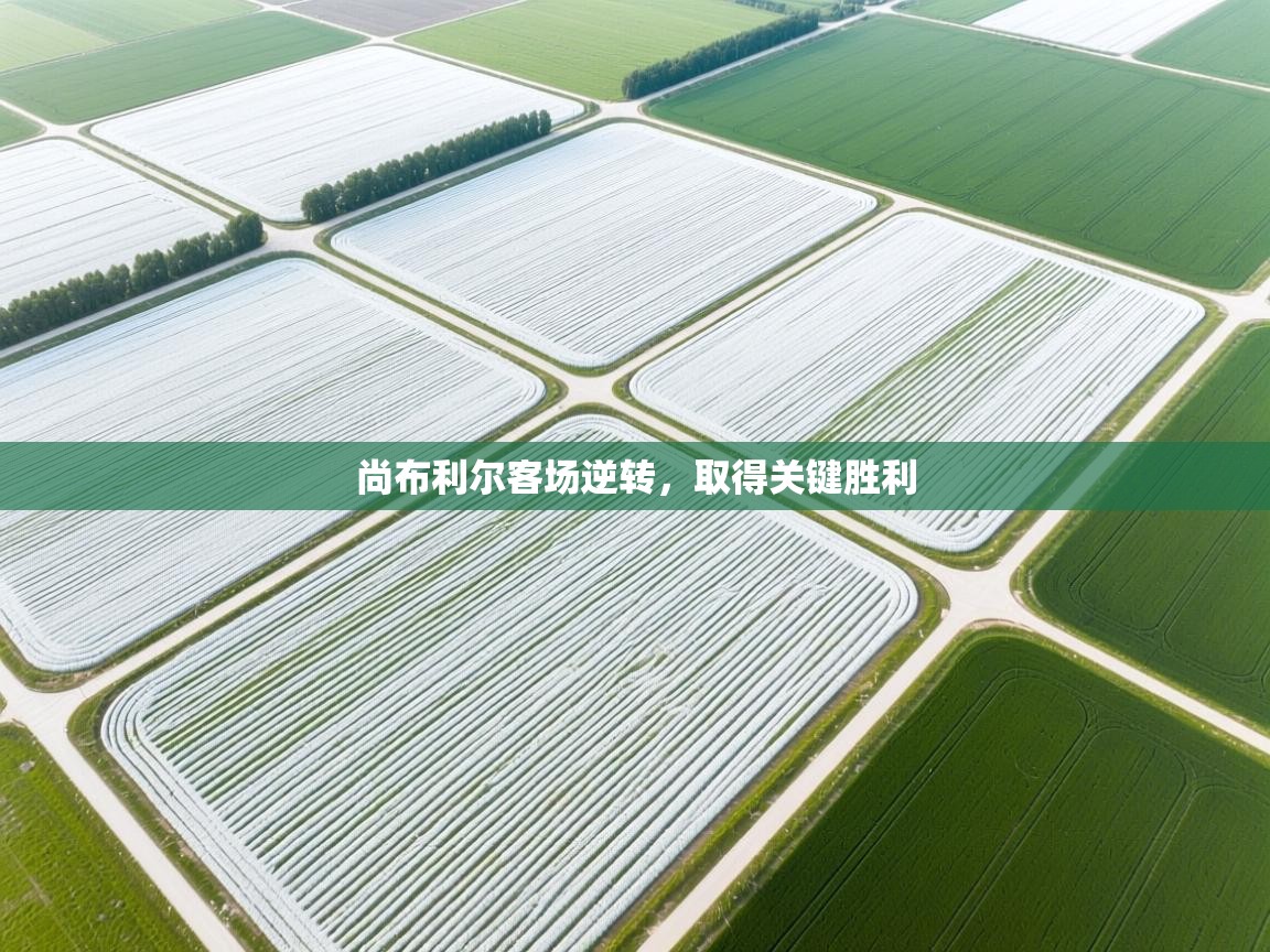 尚布利尔客场逆转，取得关键胜利  第2张